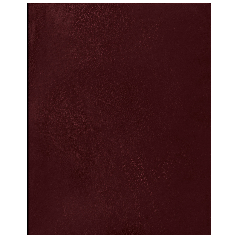 Тетрадь 48 л., А5 (165 х 202 мм), скоба, клетка, обложка бумвинил, OfficeSpace, Т5бв48к_16413, 252729