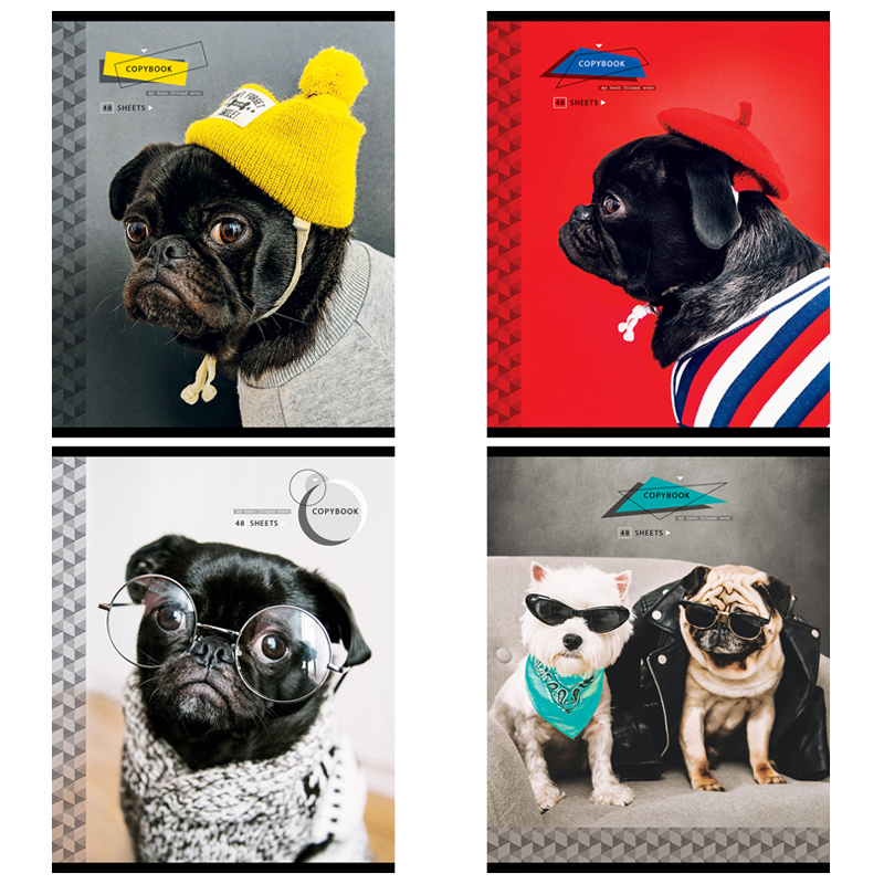 Тетрадь 48 л., А5 (165 х 205 мм), скоба, клетка, обложка картон, ArtSpace "Питомцы. Pug", Т48к_29623, 294607
